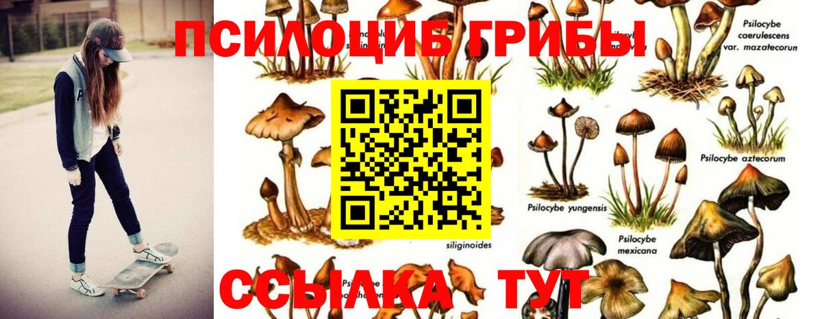Псилоцибиновые грибы ЛСД  Псилоцибиновые грибы прущие грибы  Приморско-Ахтарск  Вход с VPN 